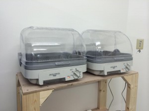 10329065_833384036693034_8121262822566088812_n