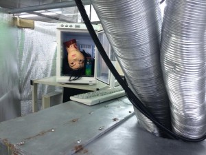 10721380_831579846873453_1497981543_n