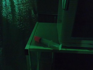 1924396_840299449334826_3578334940706601388_n