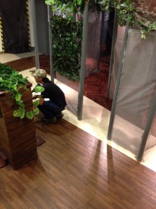 キングバトル①