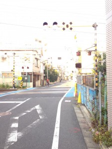 10799632_604561019666967_231143091_n