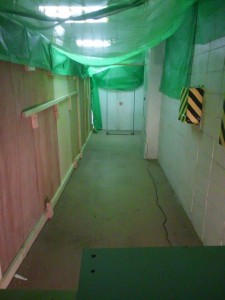 10805118_397808023703440_421237714_n