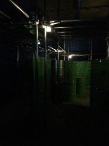 961564_731459500301674_2107327269_n