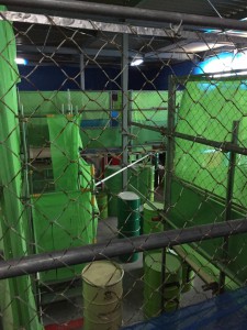 11130711_691349024321499_619055851_n