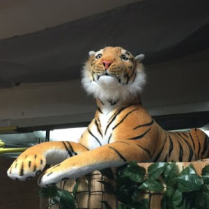 10998443_10205230469915796_281338124_o