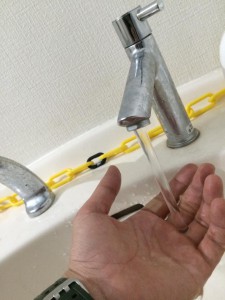 11798456_410030079184034_648198135_n