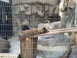 11850548_998288656869237_4995428028733843767_o (1)