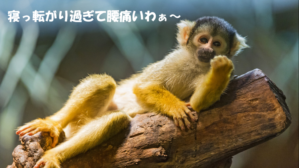 スクリーンショット (17)