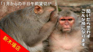 スクリーンショット (29)