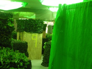 フィールドレビュー02