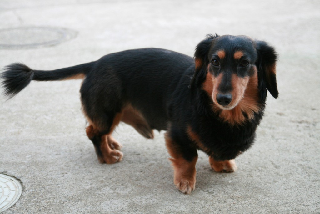 2852f0a9104c2e4458c14c97a6826522_m