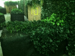 改修後レビュー2